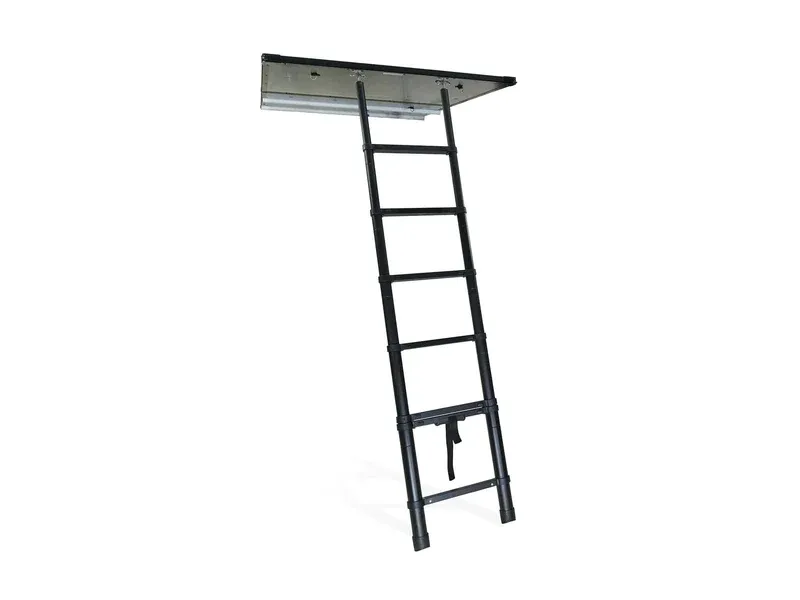 C6 Rev Platform