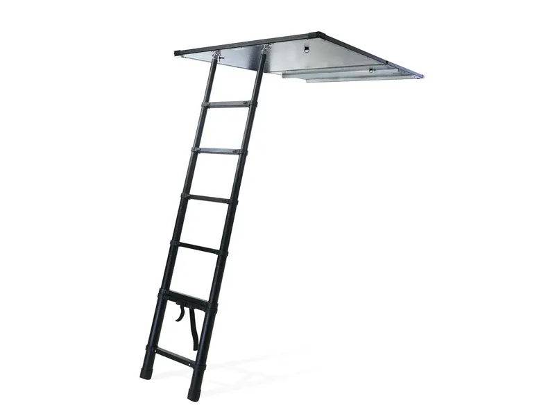 C6 Rev Platform