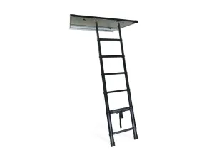 C6 Rev Platform