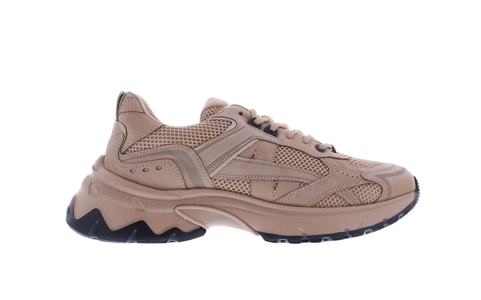 Heren Ross Nomad (M)