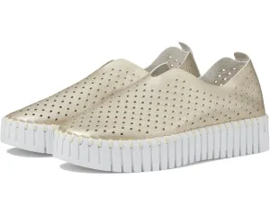 TULIP U PLATFORM FLAT
