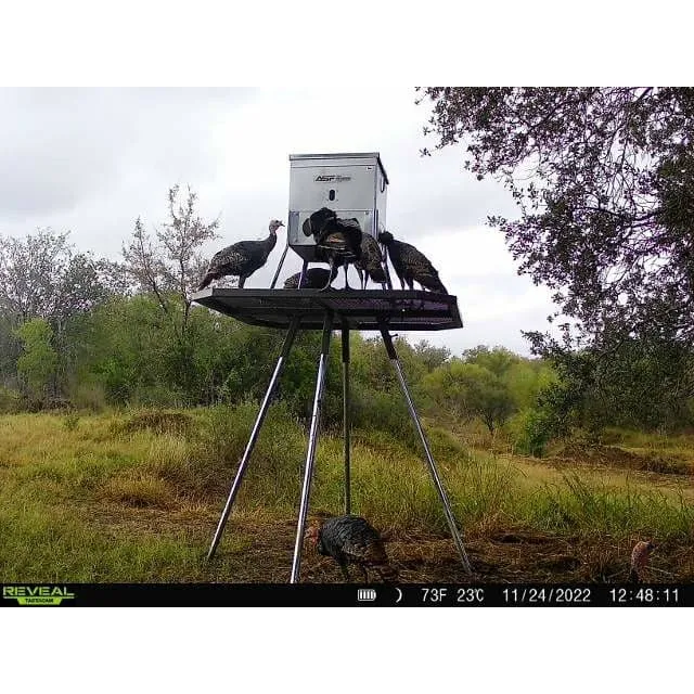 Turkey Feeder Platform
